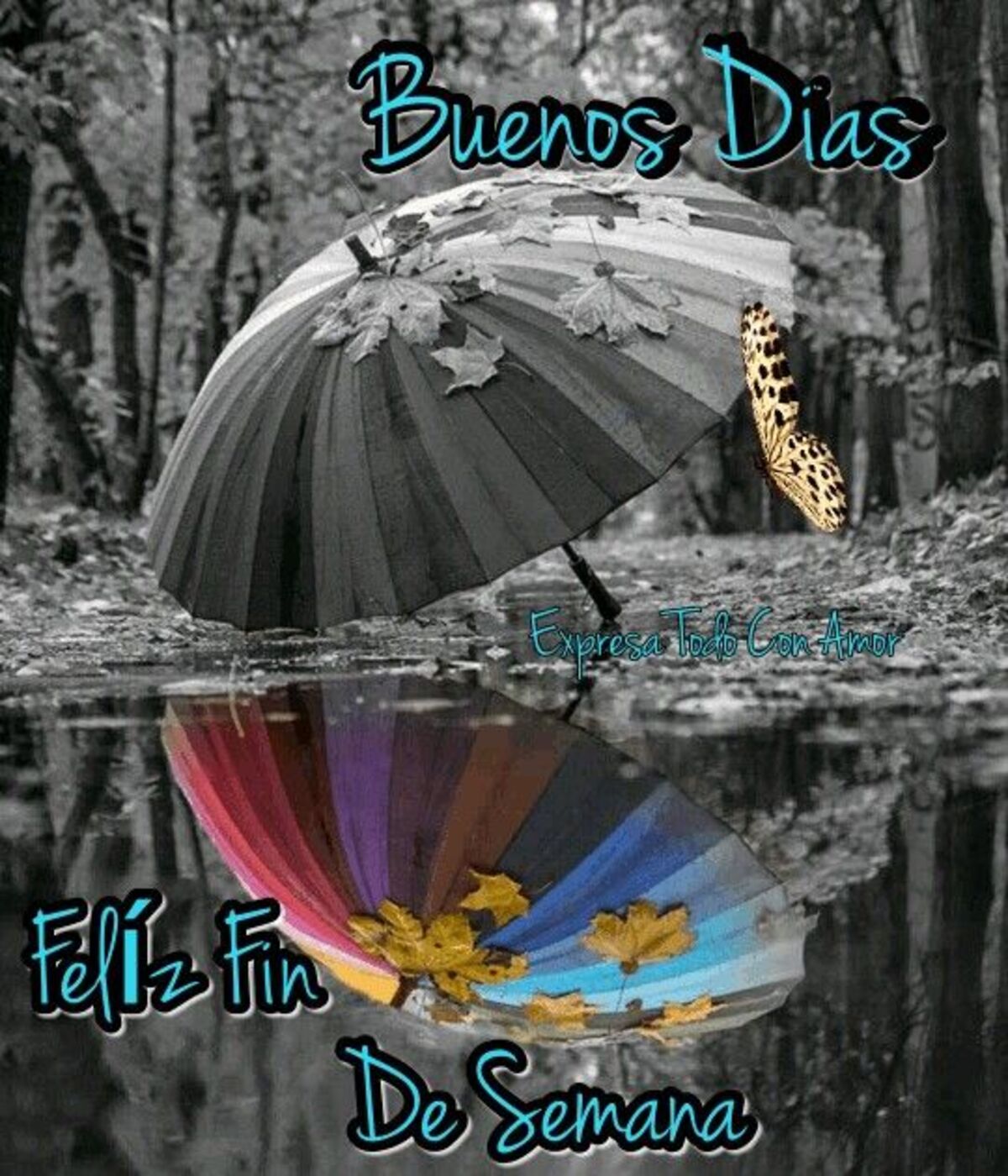 buenos dias imagenes bonitas 12