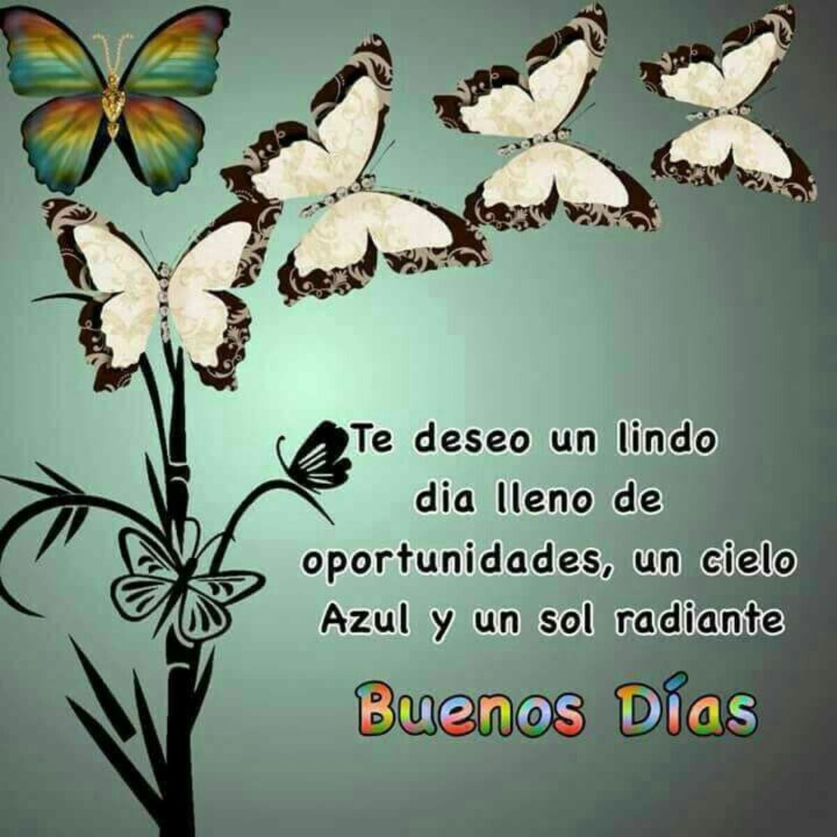 buenos dias imagenes bonitas 14