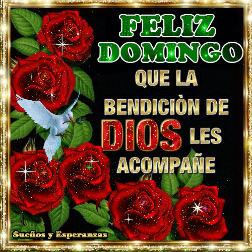 feliz domingo gif con movimiento y brillo (1)