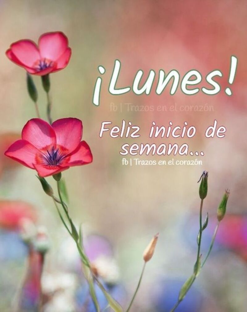feliz lunes que tengas una espléndida semana 5