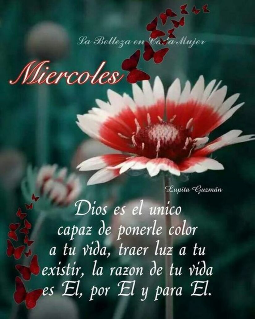 feliz miércoles buenos días bendiciones 1