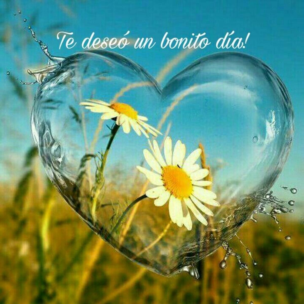 imágenes bonitas de buenos días para compartir en facebook gratis 7