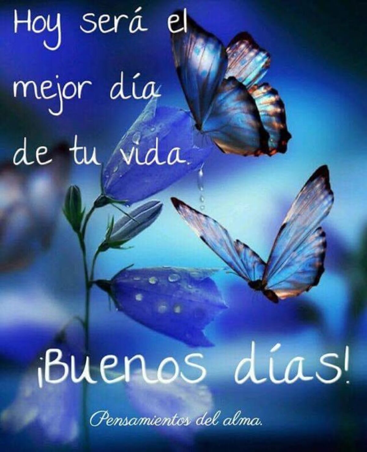 imagenes buenos dias 1