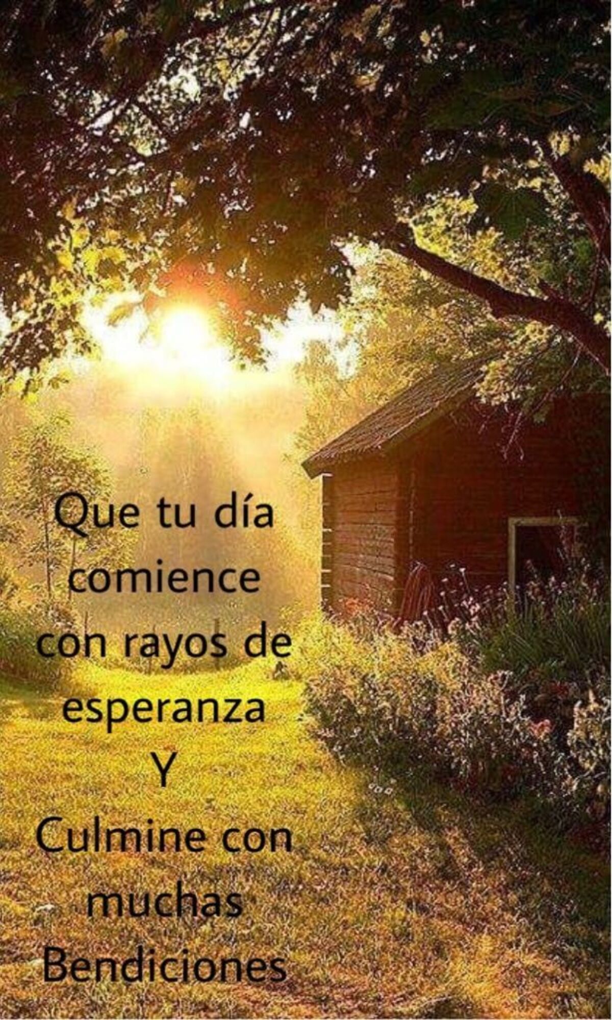 imagenes buenos dias 15