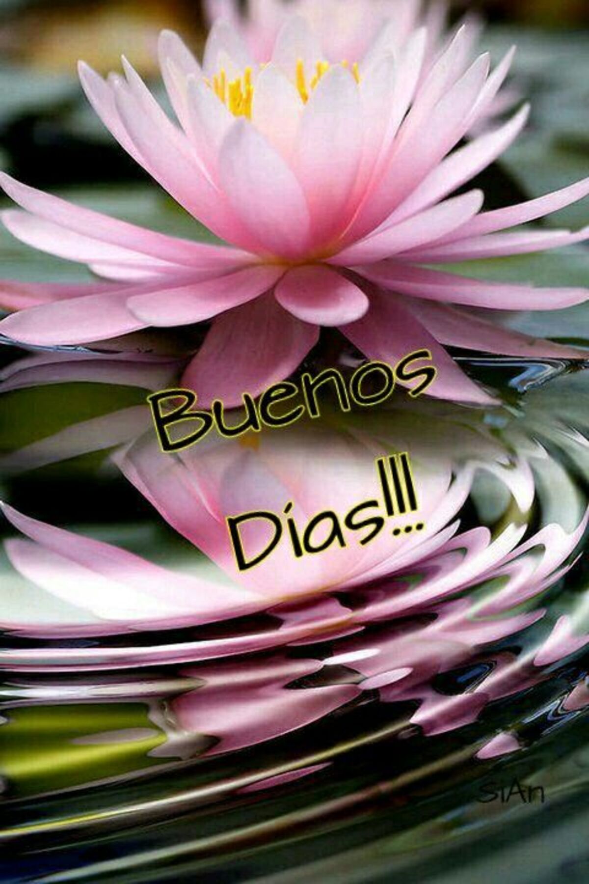 imagenes buenos dias 8