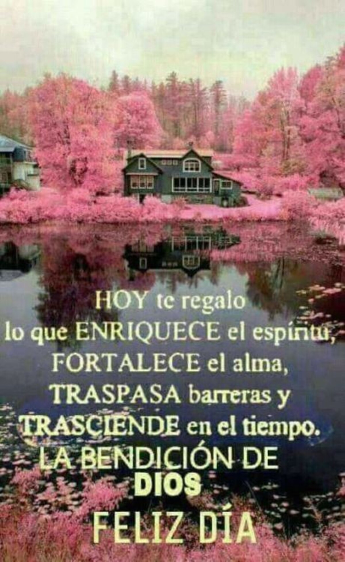 imagenes con frases de buenos dias para descargar gratis 14