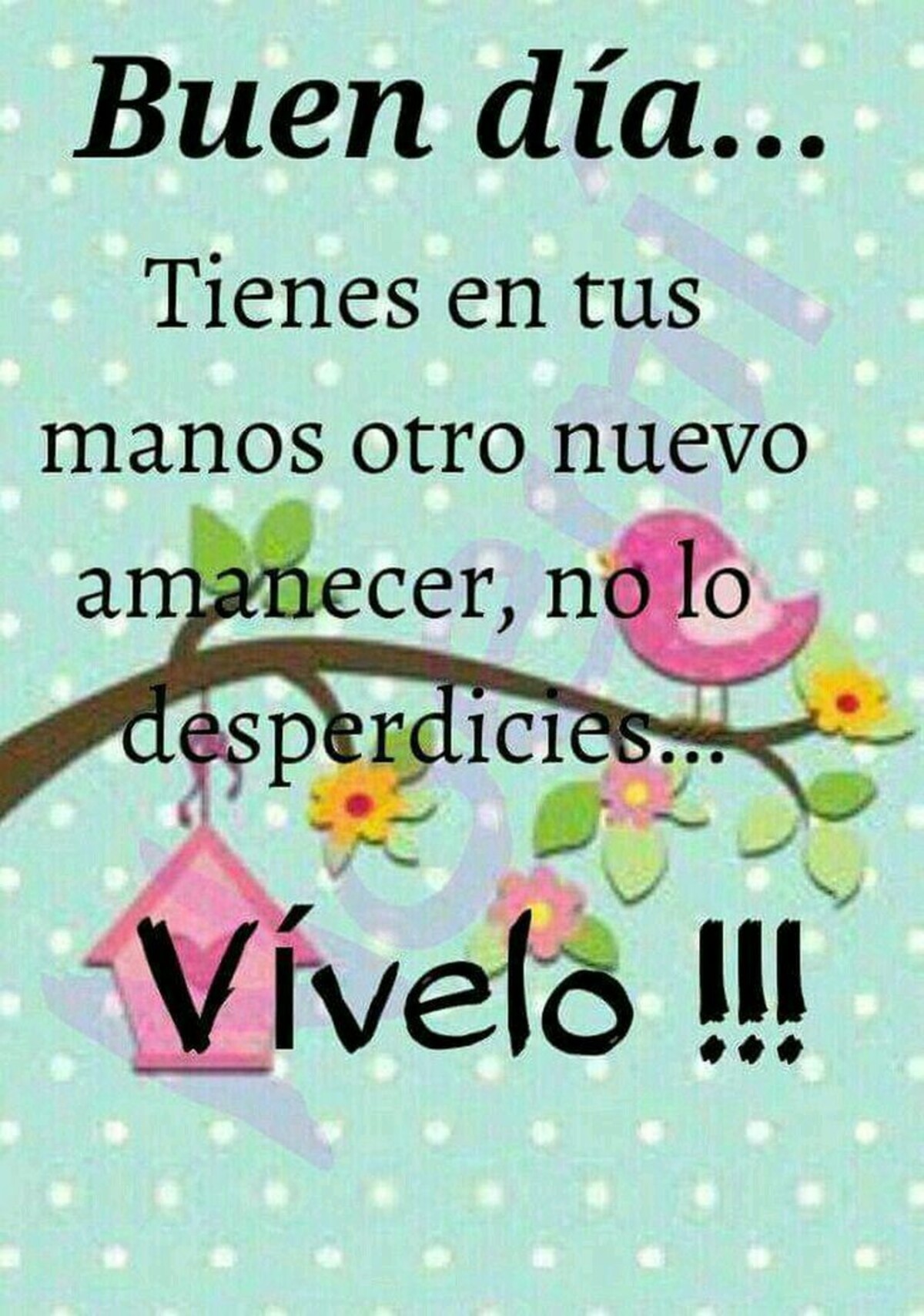 imagenes con frases de buenos dias para descargar gratis 6