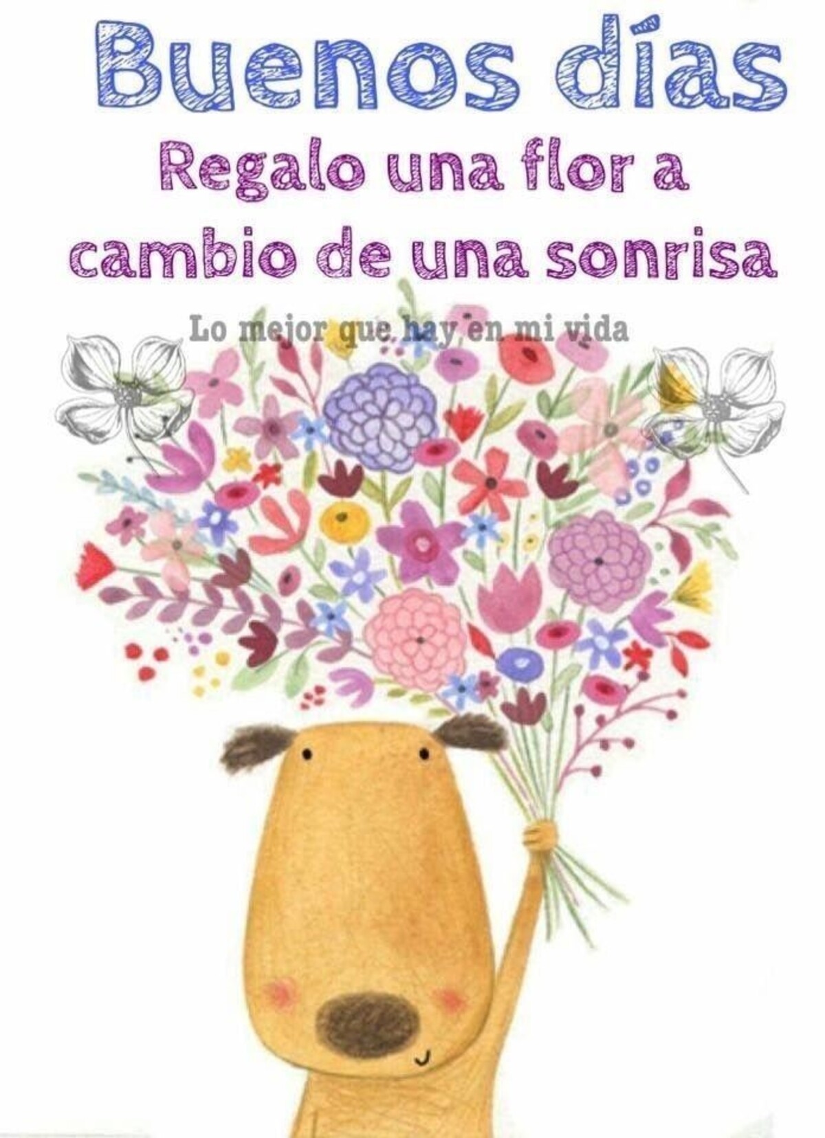 imagenes con frases de buenos dias para descargar gratis 8