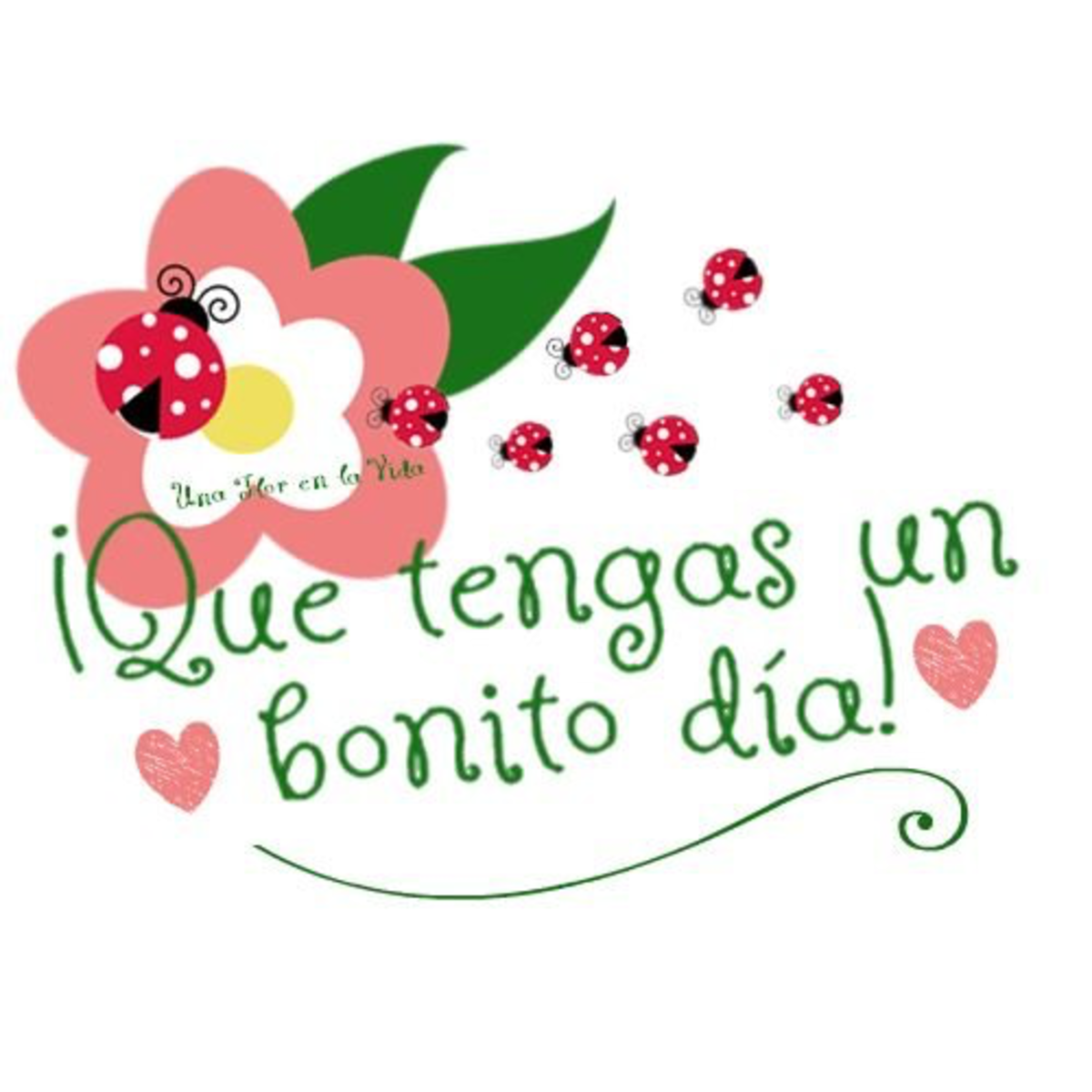 imagenes con frases de buenos dias para descargar gratis 9