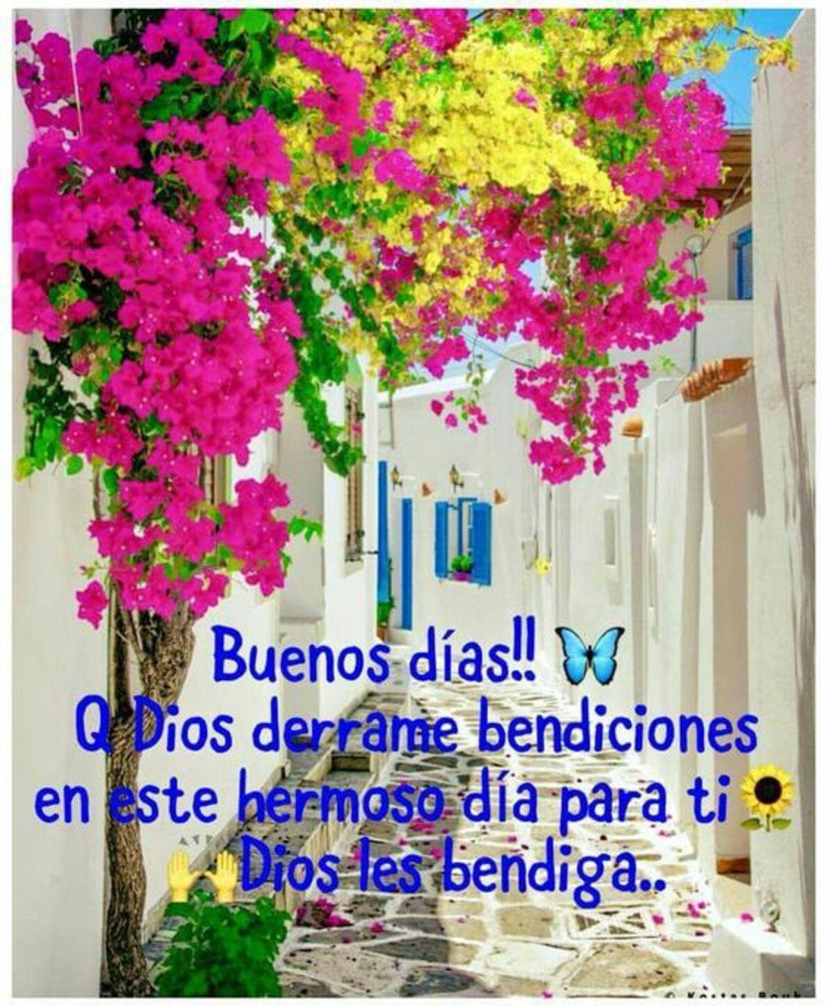 imagenes de buenos dias por whatsapp 4