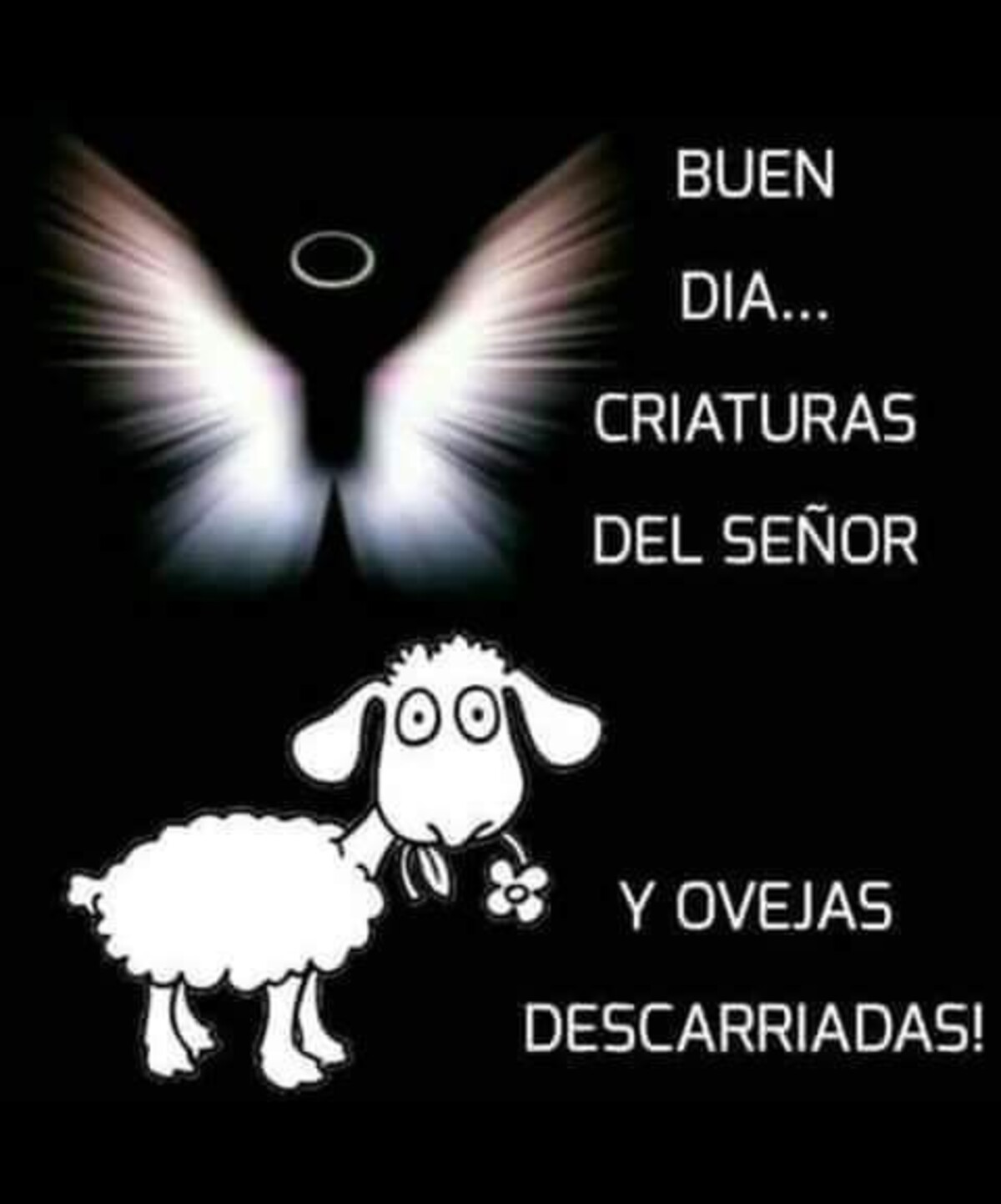 imagenes de buenos dias por whatsapp 5
