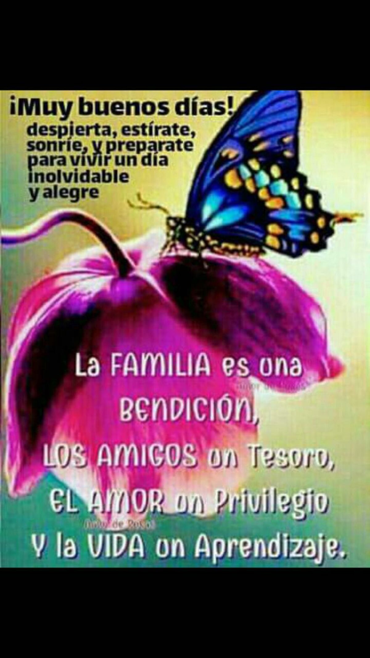 imagenes gratis para whatsapp de buenos dias 11