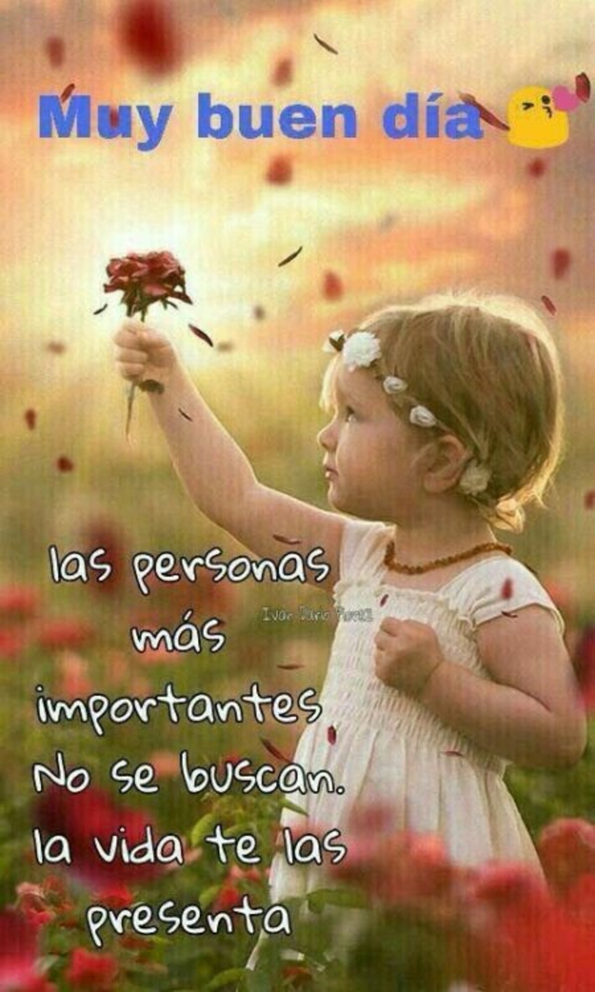 imagenes gratis para whatsapp de buenos dias 4