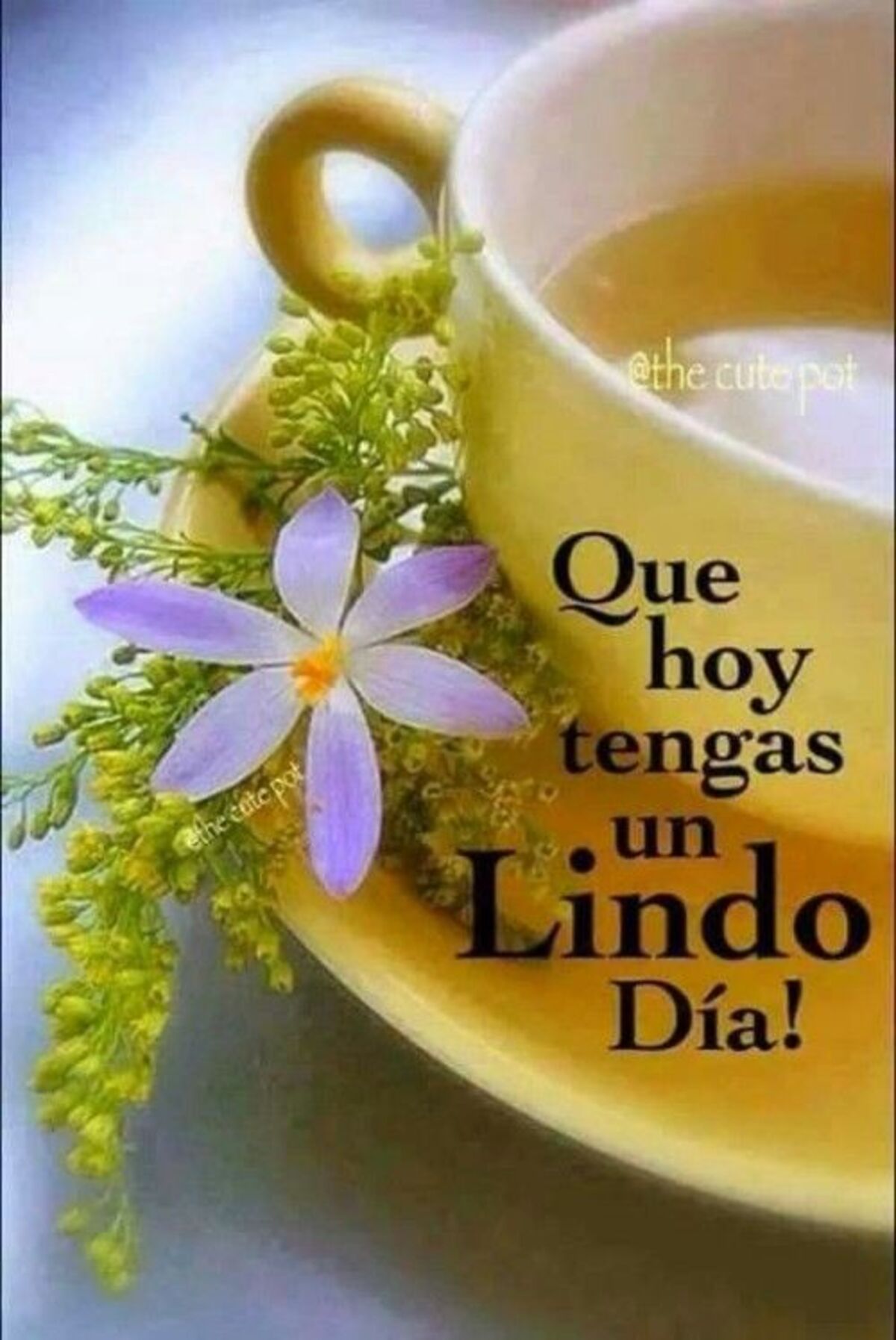 imagenes gratis para whatsapp de buenos dias 7