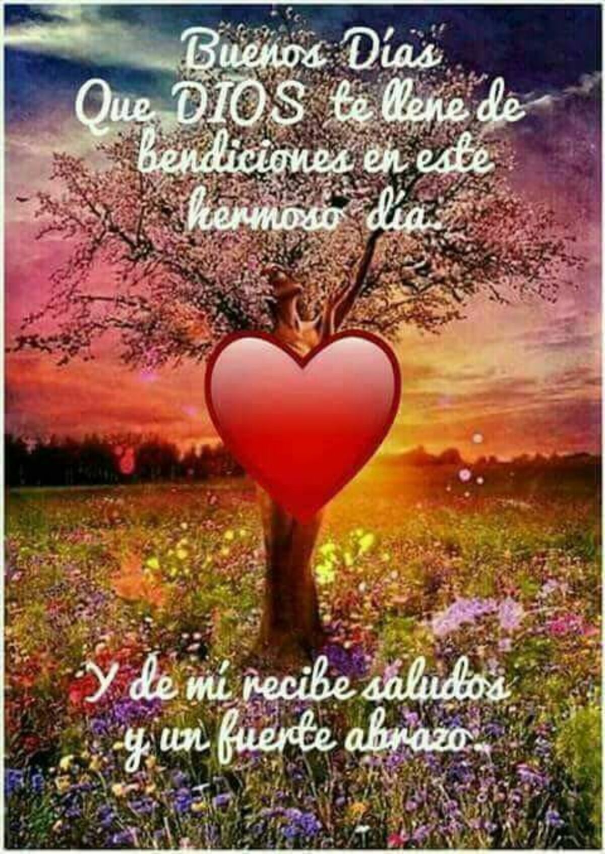 imagenes gratis para whatsapp de buenos dias 8