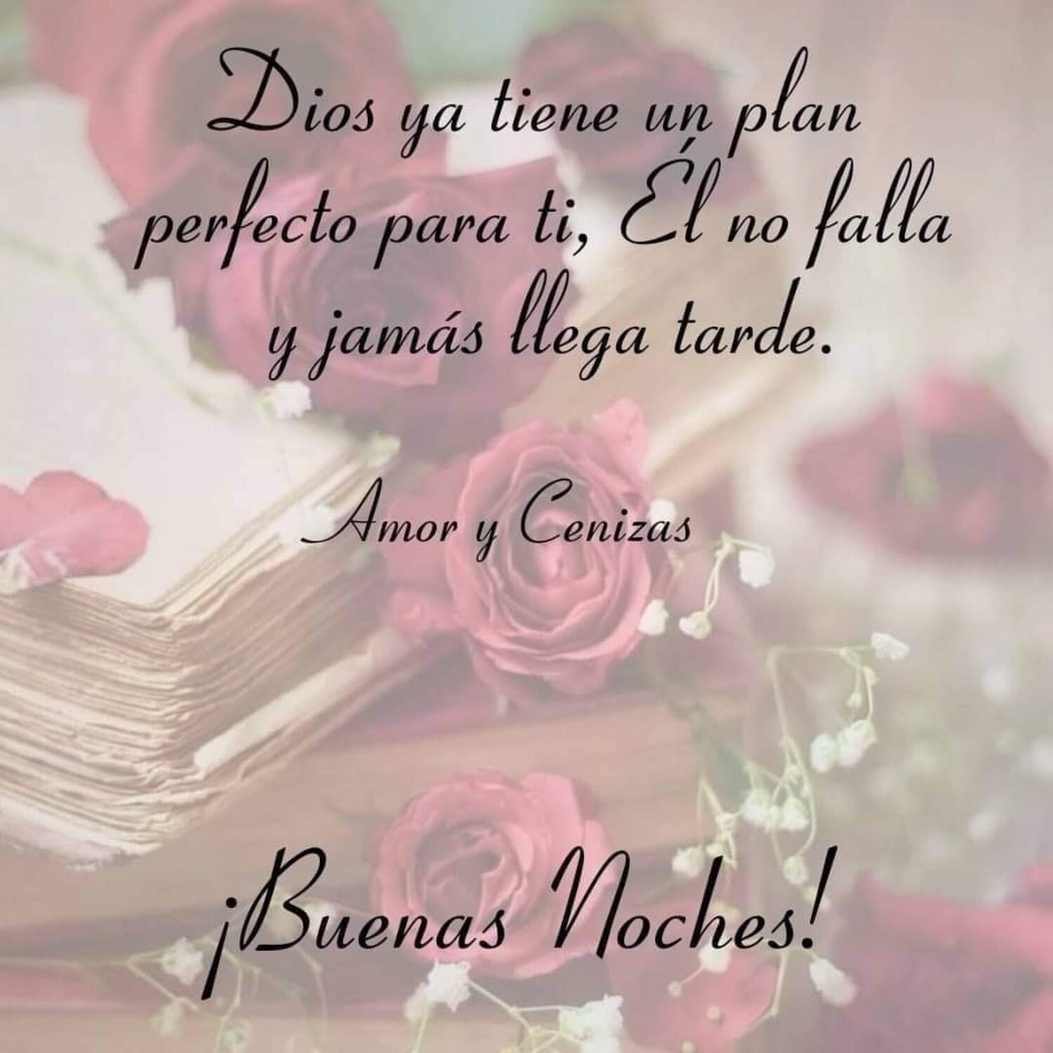 Dios ya tiene un plan perfecto para ti Buenas Noches