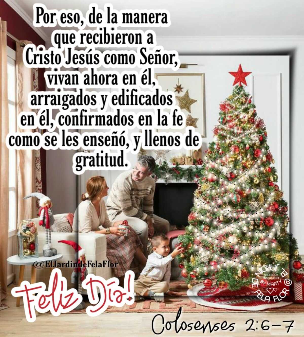 Buenos Días Navidad (4) 2