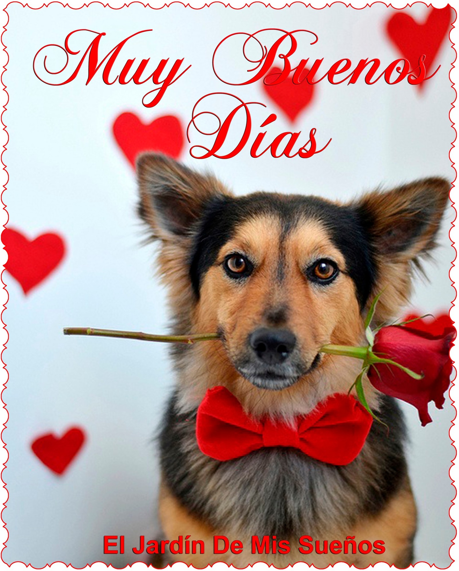 Amor Muy Buenos Días