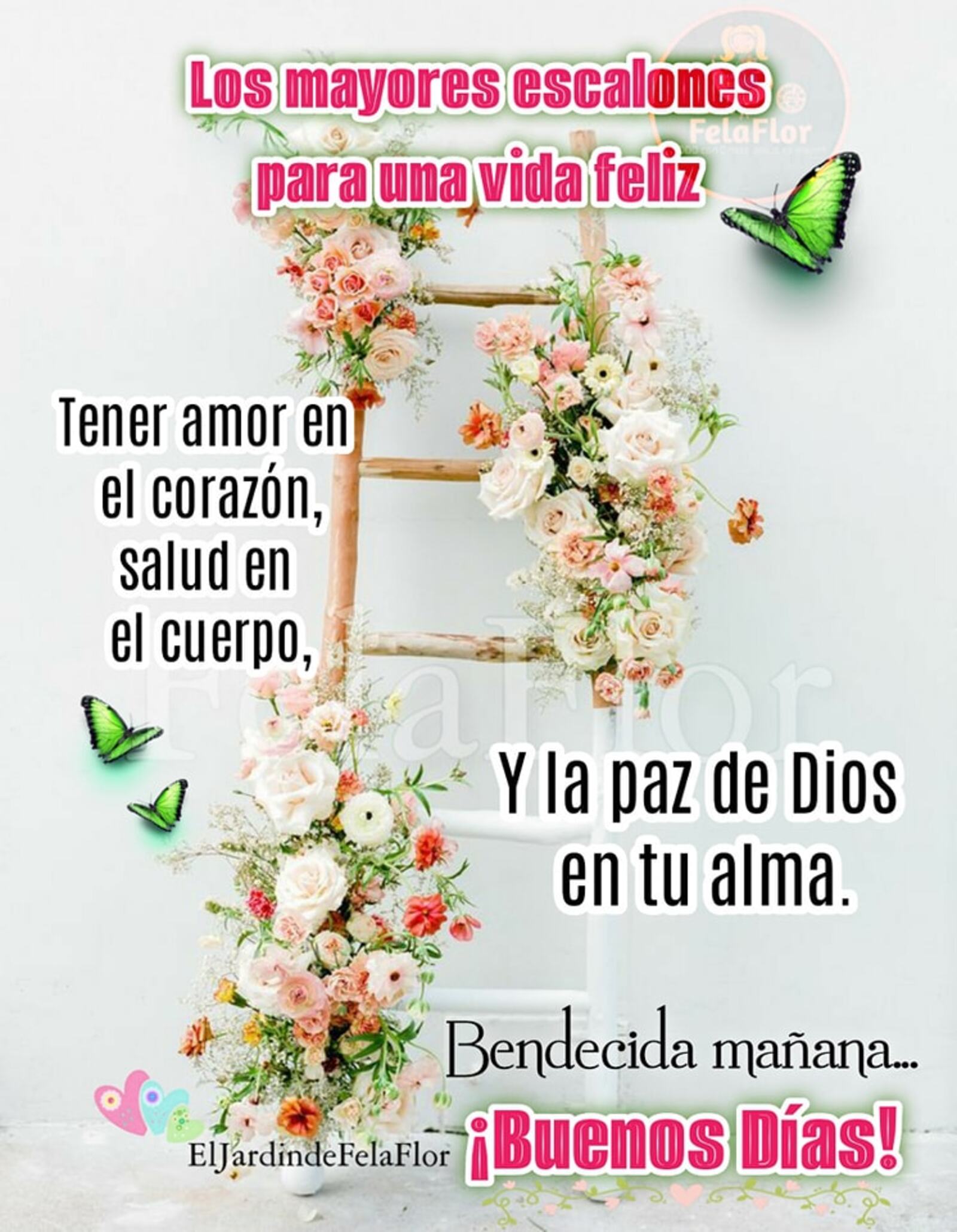 Bendecida mañana buenos días