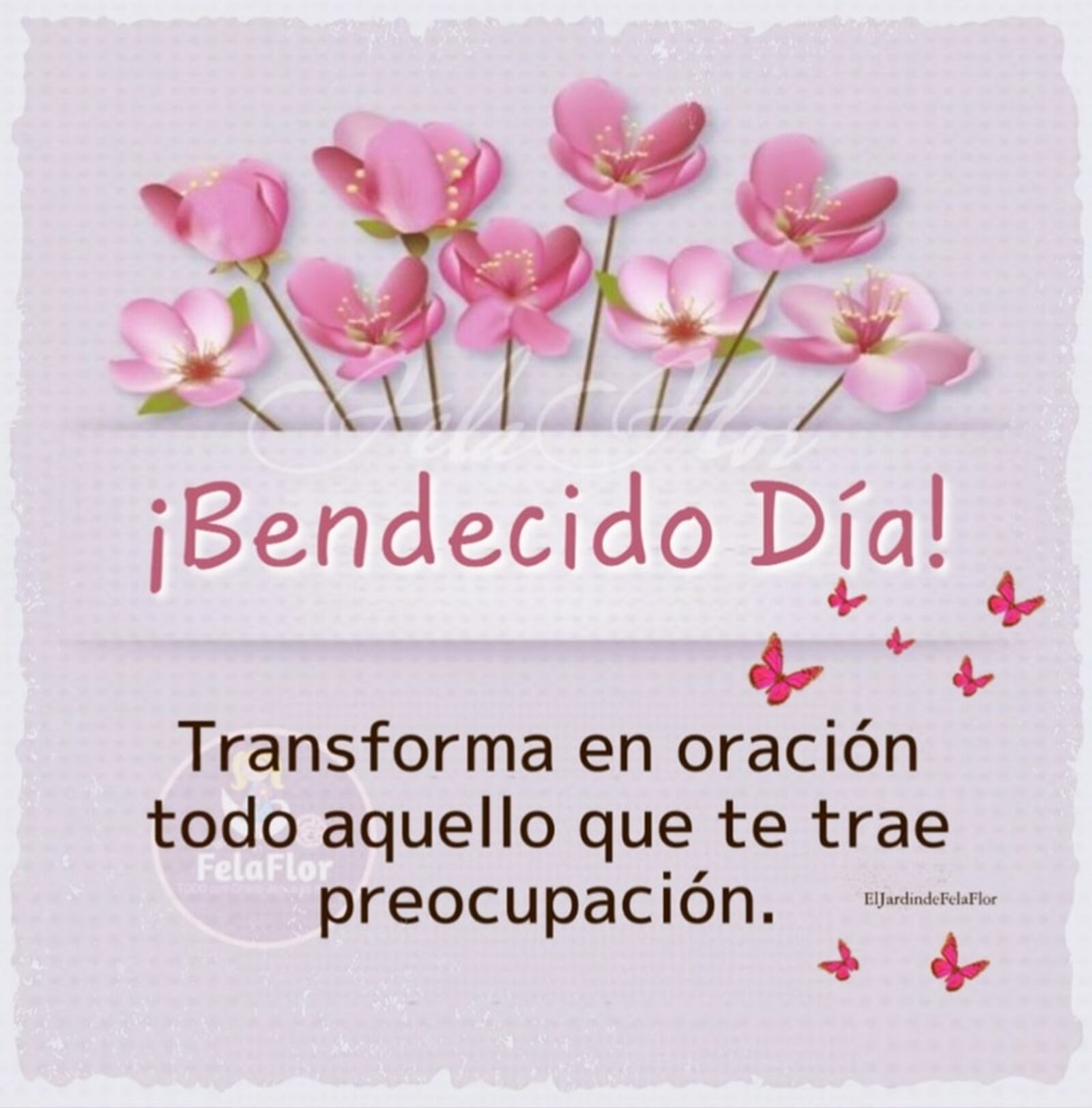 Bendecido Día transforma en oración todo aquello que te trae preocupación