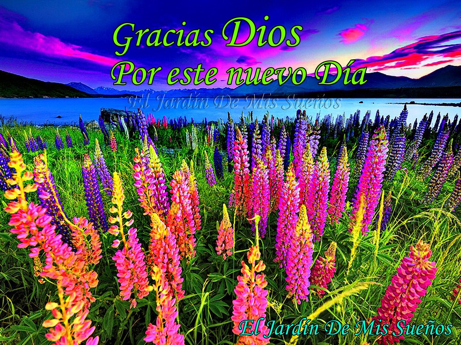 Buenos Días Gracias Dios