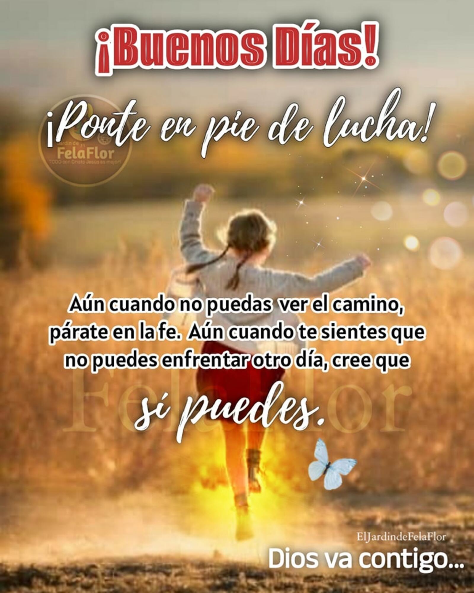 Buenos Días ponte en pie de lucha