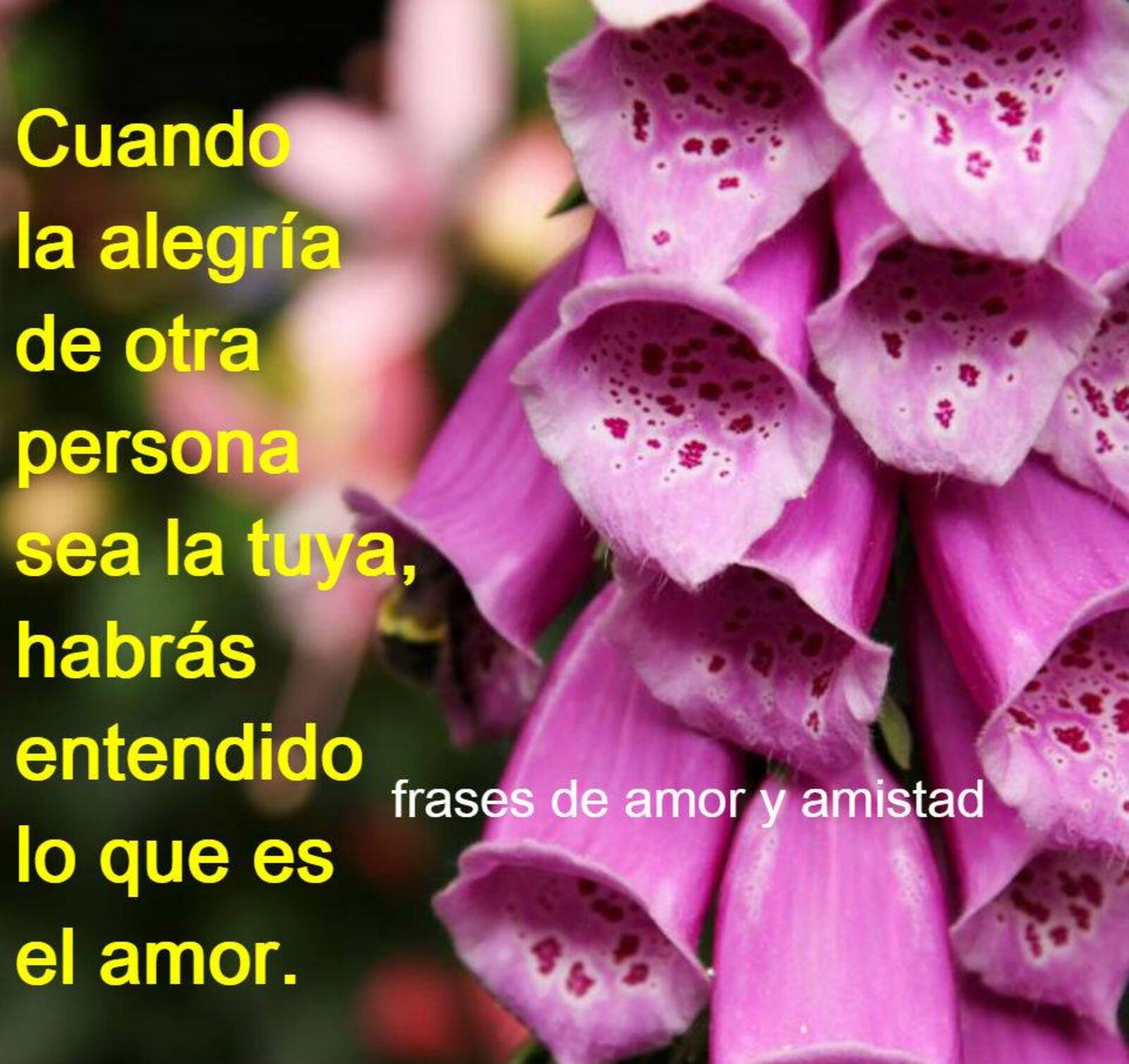 Cuando la alegría de otra persona sea la tuya habrás entendido lo que es el amor
