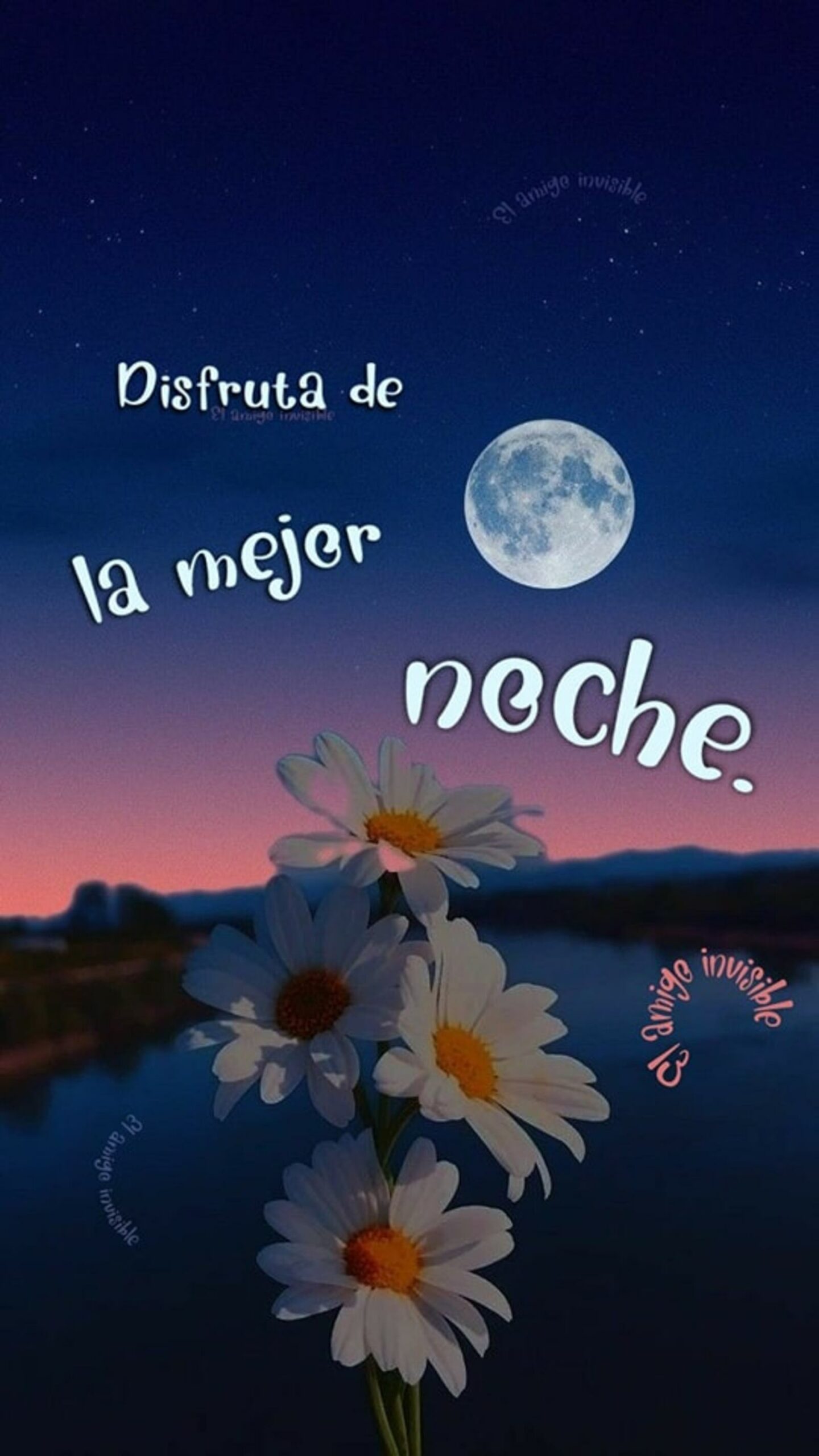 Disfruta de la mejor noche