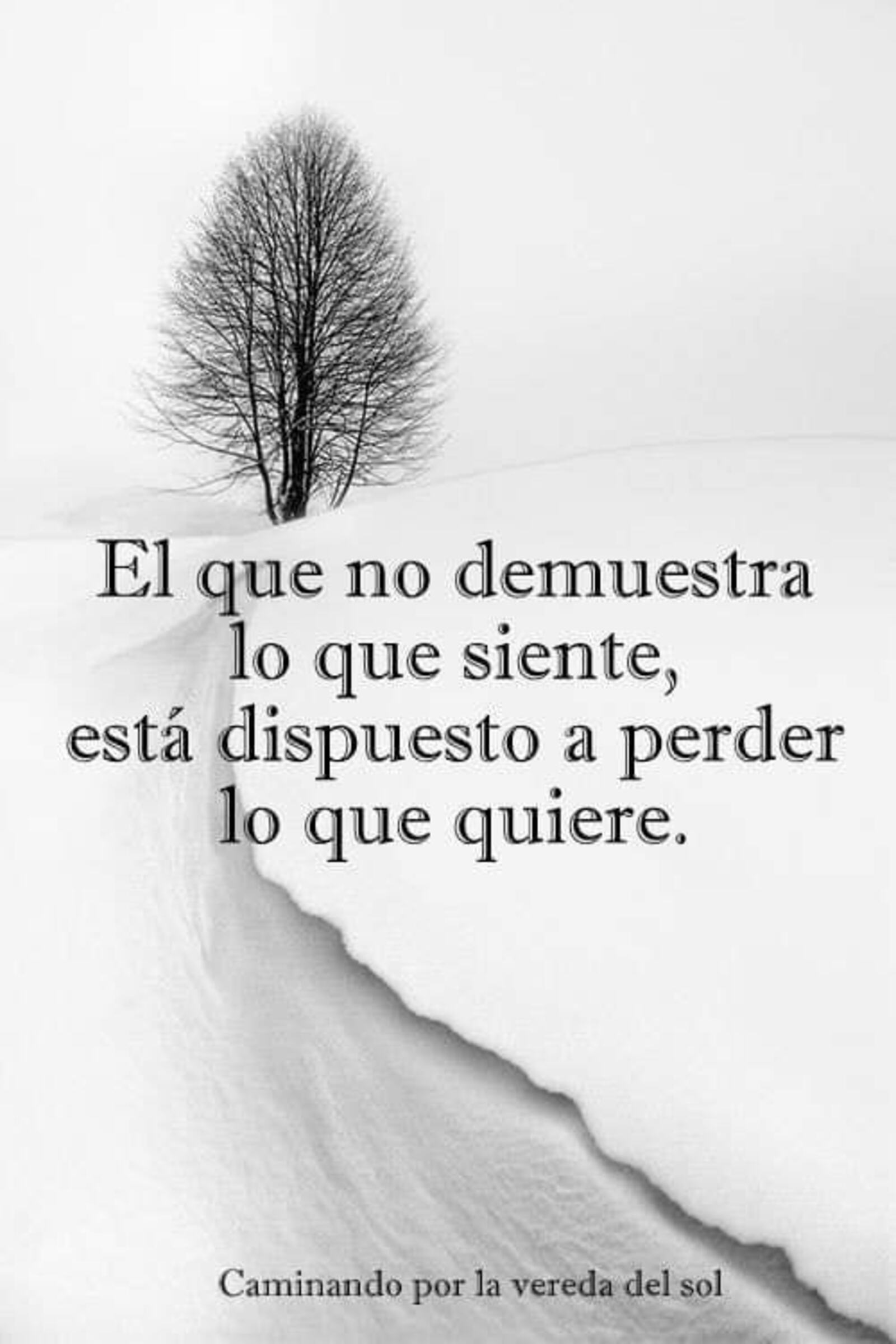 El que no demuestra lo que siente está dispuesto a perder lo que quiere