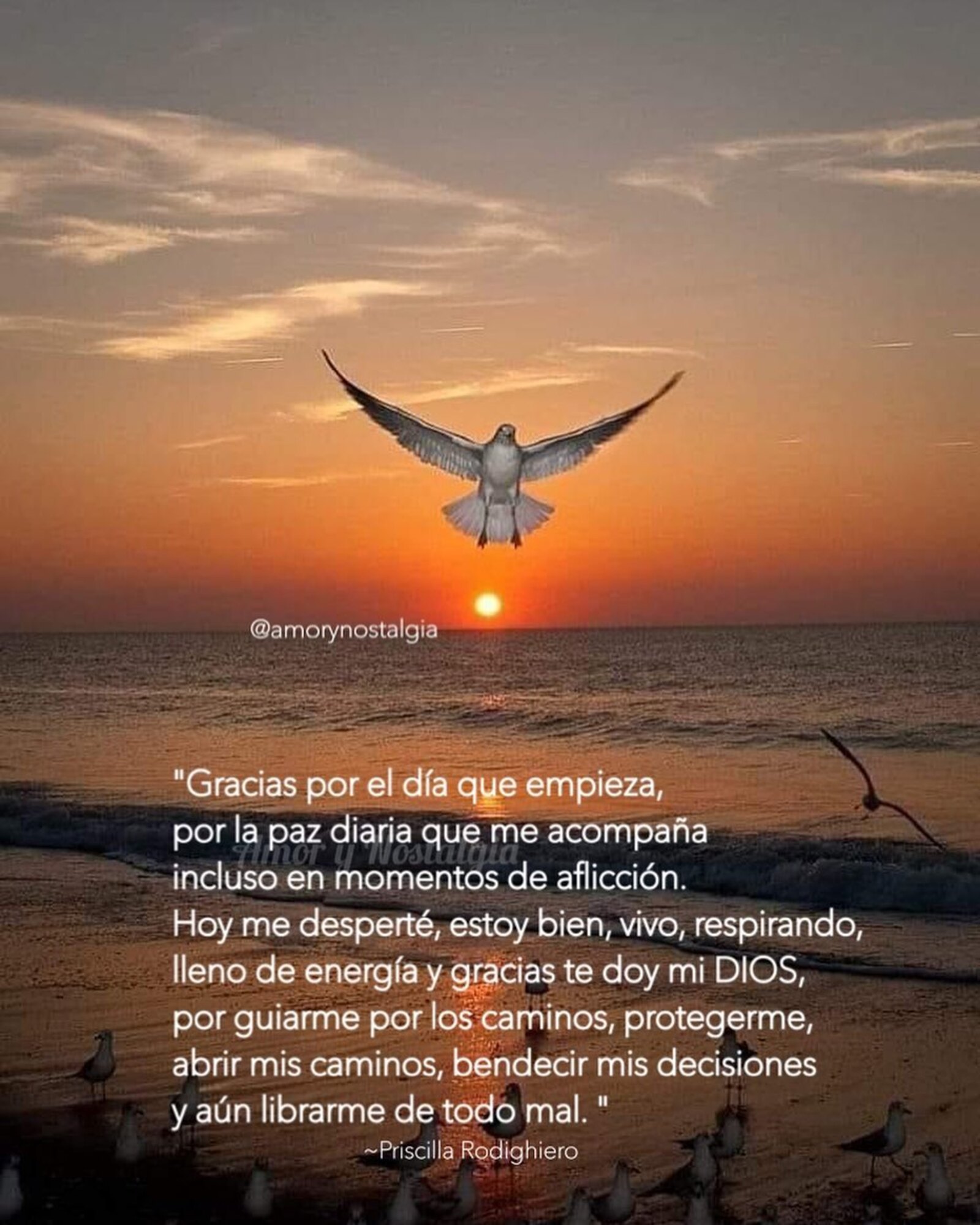 Gracias por el día que empieza por la paz diaria que me acompaña